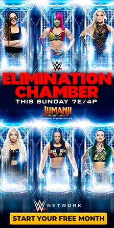 WWE Elimination Chamber 2020 Predictions